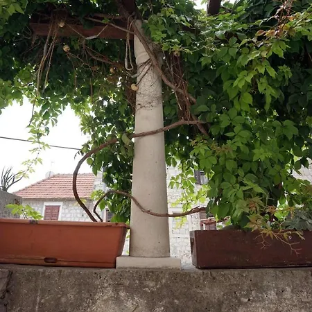 Apartamento Muco Varos *