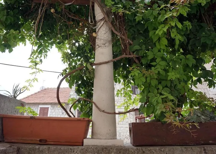 Lägenhet Muco Varos *